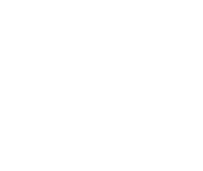 shield-icon